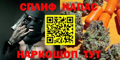 стаф Кулебаки