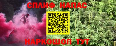 стаф Кулебаки